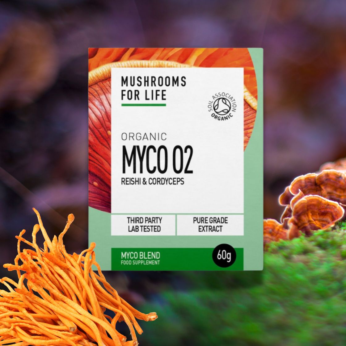Reishi and Cordyceps Powder Mix - Myco O2 - Mushrooms For Life